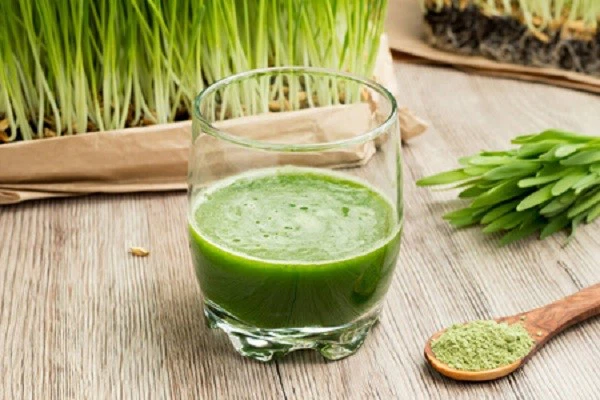 barley grass powder barley grass powder