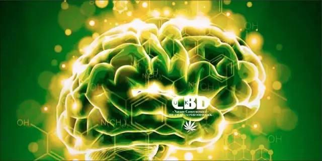 US FDA pral rankontre nan mwa avril 2019 diskite sou manje ki gen rapò CBD ak...