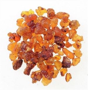 Boswellia Poud