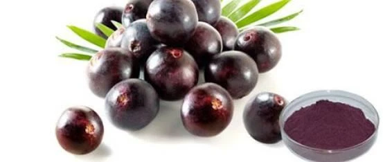 Acai Berry Poud Poud