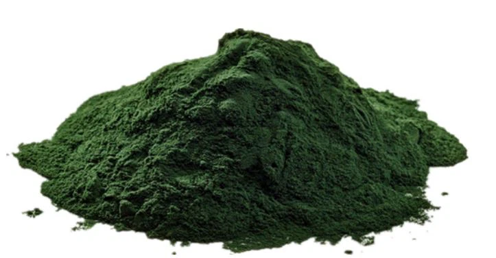 Klorella Oganik Poud