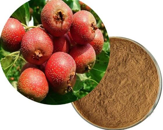 Hawthorn Ekstre