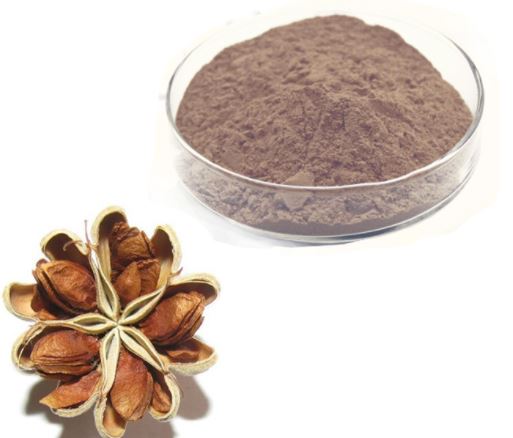 Oganik Quillaja Saponaria Ekstre