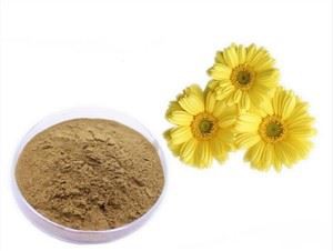 Chrysanthemum Ekstre