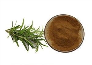Rosmarinus Officinalis ekstrè fèy Rosemary