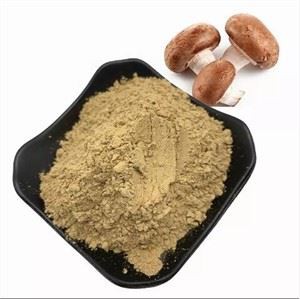 Shiitake Mushroom Powder