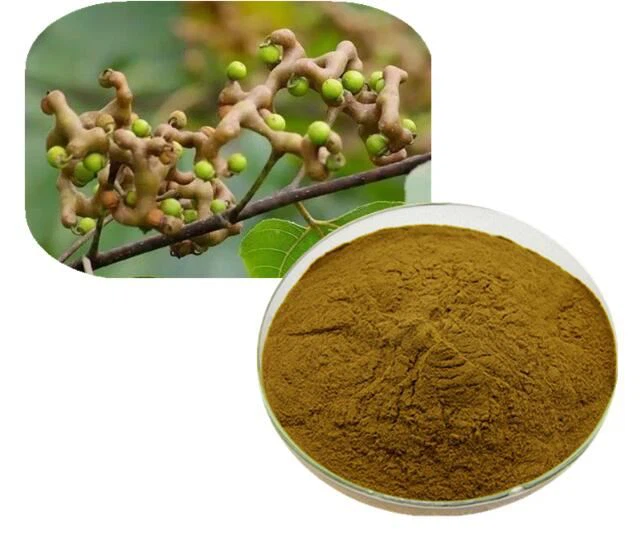 Dihydromyricetin Hovenia Dulcis ekstrè